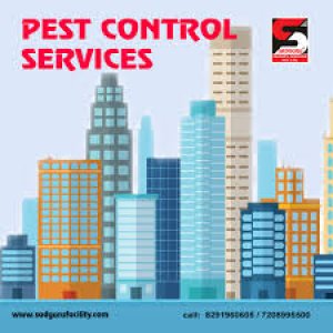 Pest control services in borivali by sadguru pest control