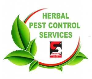 Best pest control services in mumbai - sadguru pest control
