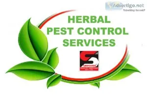 Pest control services in malad by sadguru pest control
