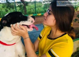 Dog Boarding Service in Gurgaon at Best Price on Snouters