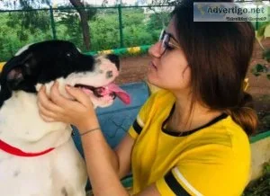 Dog Boarding Service in Gurgaon at Best Price on Snouters