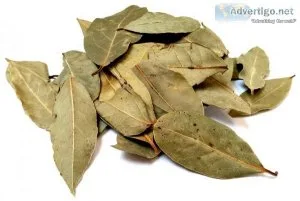 Buy bay leaves wholesale online | vyom overseas