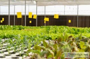 The top hydroponic store near me