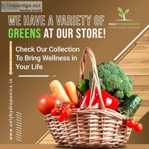 Find Incredible Organic Exotic Vegetables in Delhi NCR