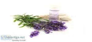 Lavender oil manufacturers