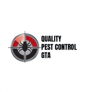 Pest Control In Bradford