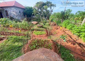 Gated community farmland near bangalore | farmland activities ba