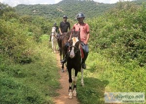Photo guide to the best organic farming plants near hosur