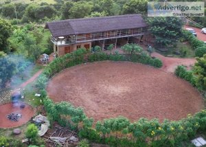 Managed farmland near hosur | buy farm land near bangalore