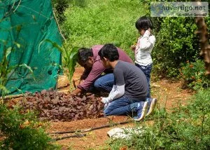 Farmland in hosur | managed farmland near bangalore