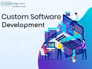 Custom software development solutions india
