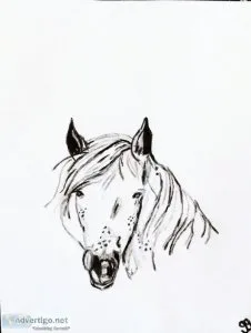 Black and White Horse Smiling GG - 8.5&quot x 11&quot Painting