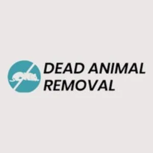 Dead Mice Removal Services in London - Deadanimalremoval.uk