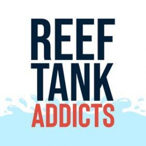 Reef Tank Addicts
