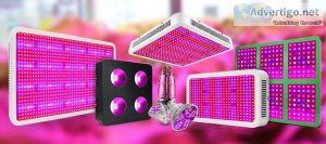 Why are the best led grow lights worth the investment?