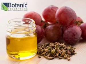 Grape seed extract manufacturers