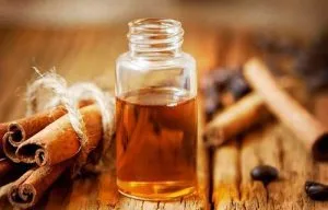Cinnamon bark oil manufacturers