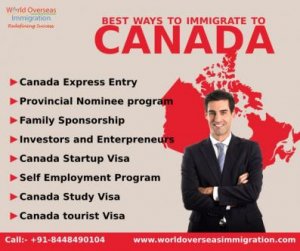 World overseas immigration consultancy