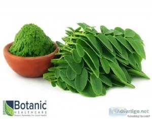 Organic extracts manufacturers