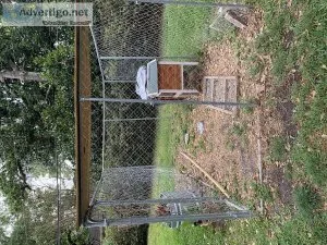 Dog Run Pen.  Walk In  13. X. 9 feet