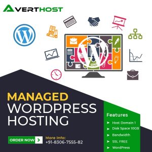 What is best managed wordpress ssd hosting in india