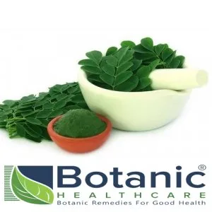 Moringa leaf extract manufacturers