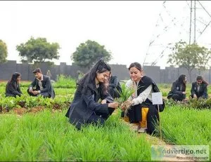Top ma institute Noida-Avviareeducati ons