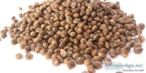 How to buy seeds online: a helpful guide?