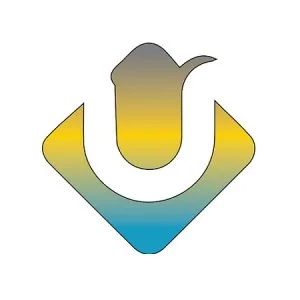 Choose a Best team for app development nz