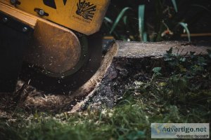 London stump grinding