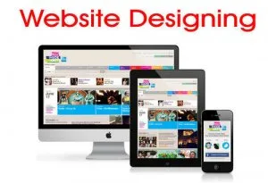 Website designing company in karol bagh
