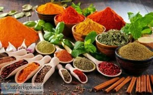 Spice trade online through tradologiecom