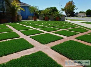 Why choose artificial grass for commercial?