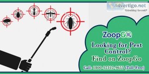 Hire best pest control service in pune