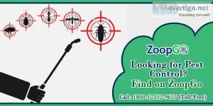 Hire best pest control service in pune