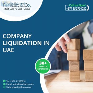 Liquidators in uae - get free consultation