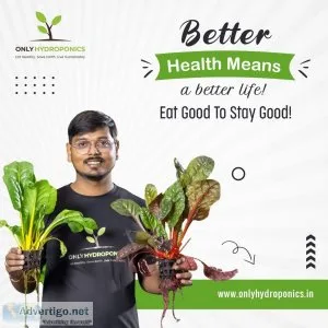 Onlyhydroponics | hydroponics store online in delhi ncr