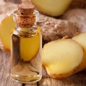 Ginger oil manufacturers
