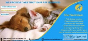 Pet Shop in Malviya Nagar  Best Shop in South Delhi  Best Pet St