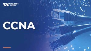 Ccna course online with certification | network kings