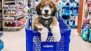 Pet Supplies At Lower Costs