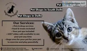 Pet Shops in South Delhi  Pet Shops in Delhi  Pet Shops near me
