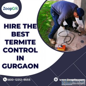 Hire the best termite control in gurgaon