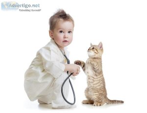pet vet clinic