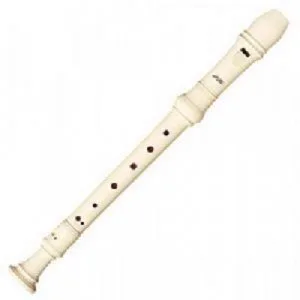 Learn Recorder Lesson by Professionals