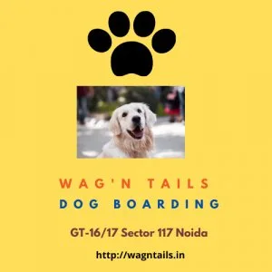 Wag?n tails is the leader in mobile pet grooming and mobile vete