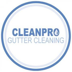 Clean Pro Gutter Cleaning Endwell