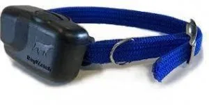 Purchase dog watch