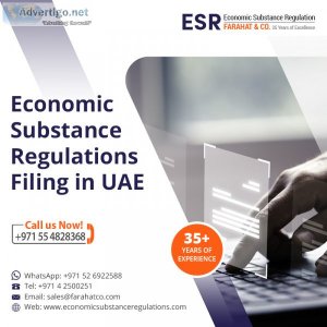 Economic substance regulations filing complete guidance & suppor