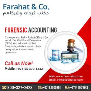 Forensic auditing services - meet qualified auditors